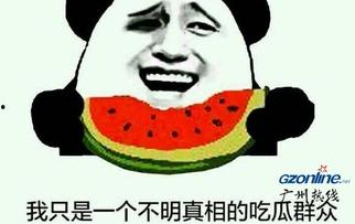 吃瓜群众指的是什么意思,网络时代的旁观者与评论者