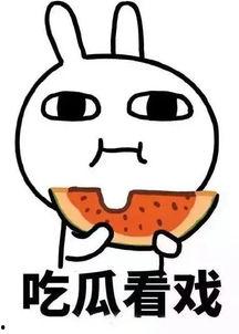 娱乐吃瓜酱脑,揭秘娱乐圈背后的秘密与八卦